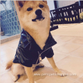 small pet french bulldog fur coat luxury fashions